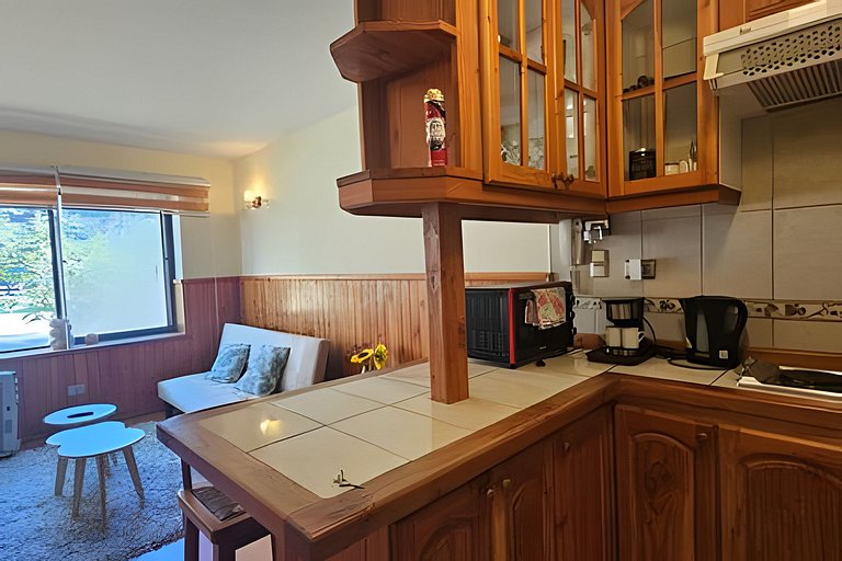 Oceana Suites Parque Suizo