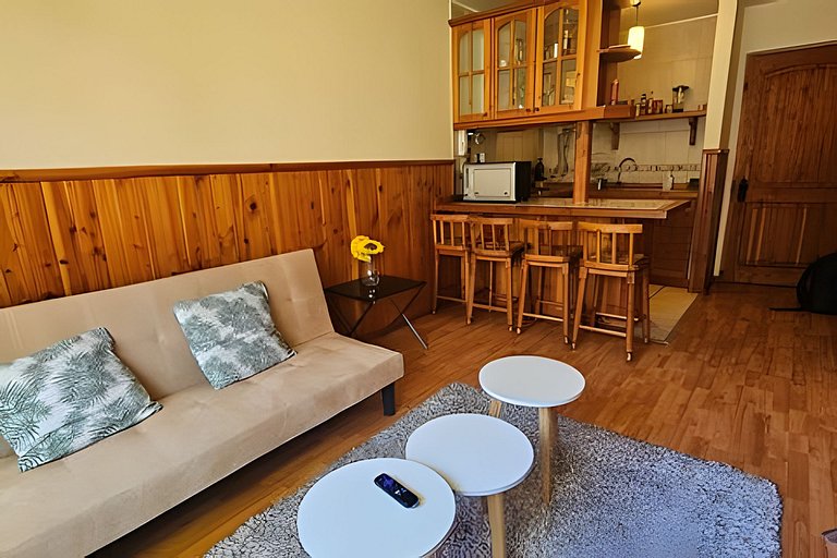 Oceana Suites Parque Suizo