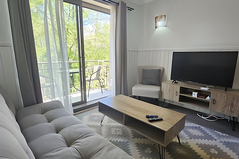 Oceana Suites Nuevo Parque Suizo